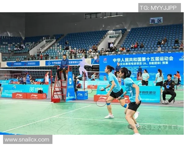 羽毛球盛宴：深入解析北京羽毛球队的比赛策略与经验分享